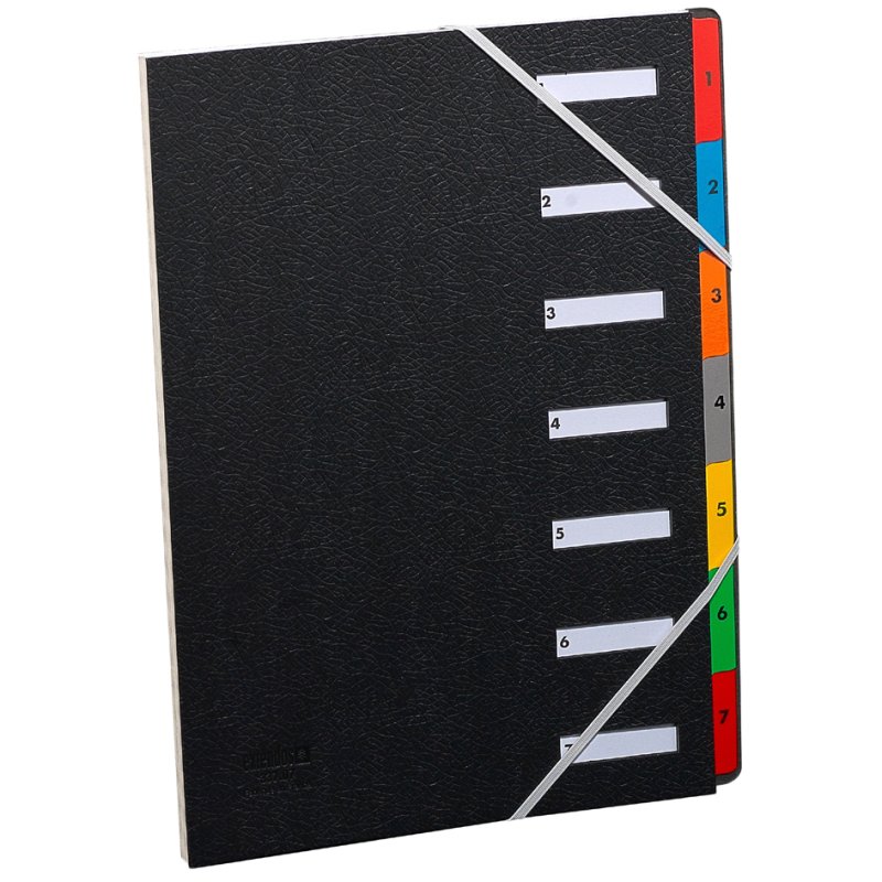 Extendos Classeur de Bureau A4, 12 compartiments, noir